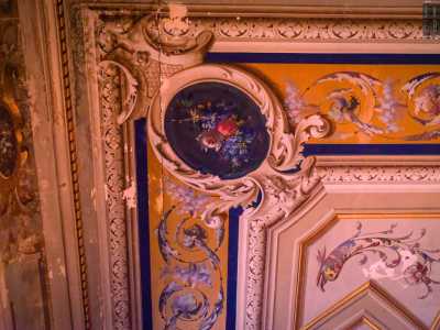 ...con fasce vegetali, animali fantastici, cartigli e ovali con festoni di fiori dai colori pi� disparati